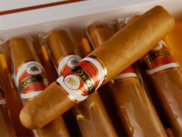 Гондурасские сигары