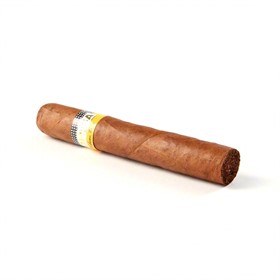 Сигара Cohiba Robustos Tubo - фото 11147