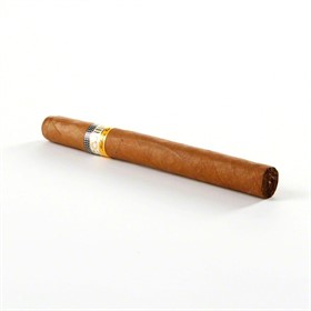 Сигара Cohiba Siglo III Tubo - фото 12229