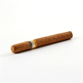 Сигара Cohiba Siglo III Tubo - фото 12230