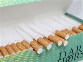 Гильзы для сигарет Dark Horse GREEN (200 шт) - фото 20704