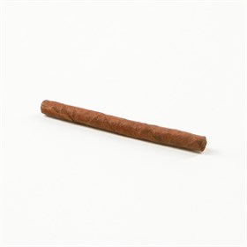 Сигариллы Cohiba Mini Limited Edition (20 шт) - фото 21070