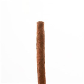 Сигариллы Cohiba Mini Limited Edition (20 шт) - фото 21073