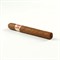 Сигара Hoyo De Monterrey Coronation A/T - фото 12601