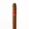 Сигариллы Partagas Chicos (5 штук) - фото 16276