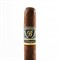 Сигара Balmoral Anejo XO Oscuro Rothschild - фото 17646